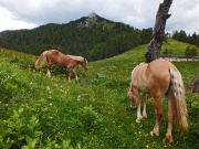 80 Baita Croce Monte Colle...